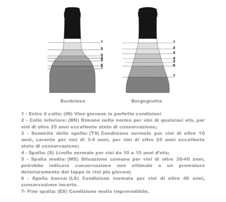 Livelli di colmatura