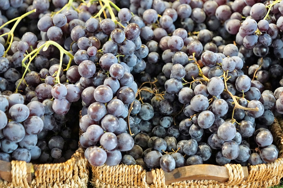 grapes-2974284_960_720