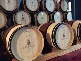 ornellaia barrique