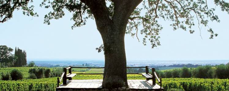 Una visita indimenticabile