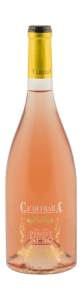 pinot-nero-rosè-2016-dop