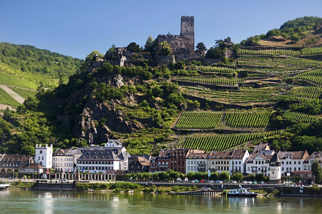 Il nobile Riesling&nbsp;Renano