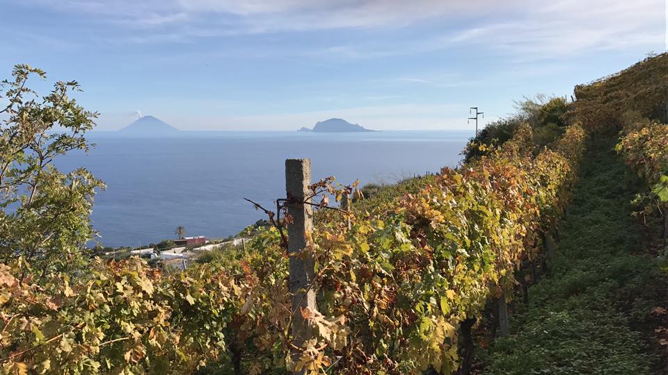 Salina: la viticoltura eroica della famiglia&nbsp;Colosi