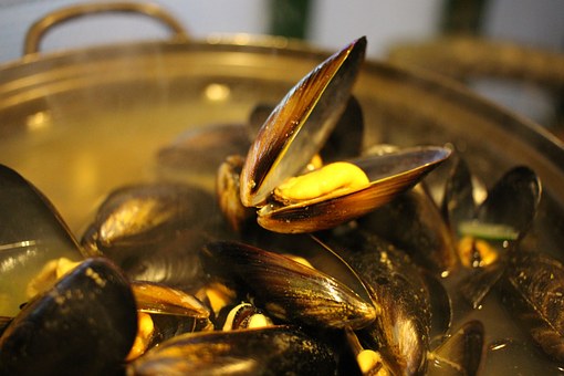 cozze 2.jpg
