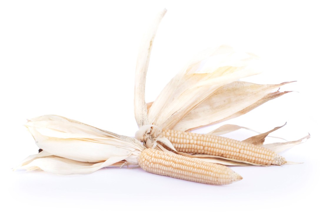 mais_biancoperla__23302