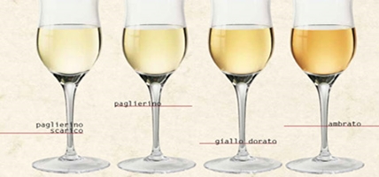 sfumature-dei-vini-bianchi